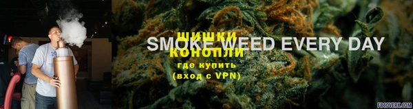 гидропоника Каменногорск