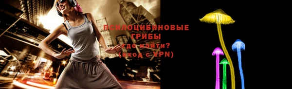 гидропоника Каменногорск