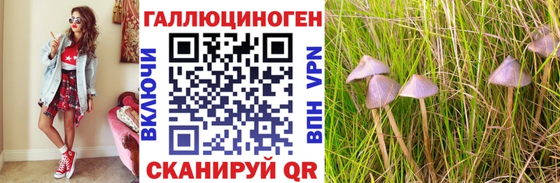 наркотики  Невельск  Галлюциногенные грибы Cubensis 
