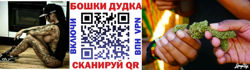 Бошки Шишки гибрид Невельск